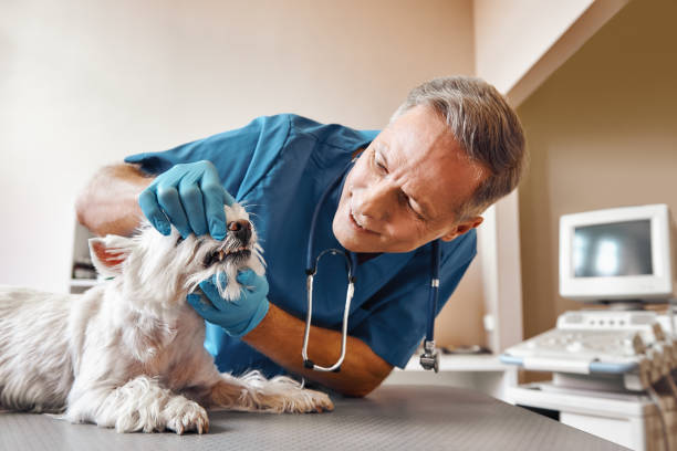 Best Broken Tooth Emergency  in Forest Hills, PA
